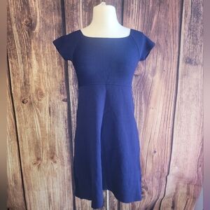 Parker Dress Size S Blue